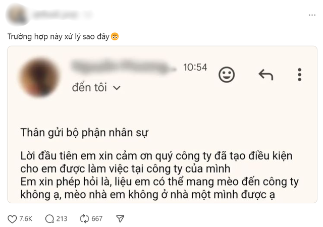 Phía sau câu chuyện nhân viên mới nhận việc viết email xin mang mèo đến công ty, HR đòi xử lý - Ảnh 1.