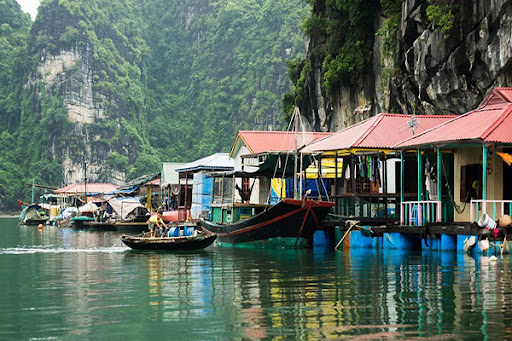 Hòn đảo mang tên "tự do" nằm ẩn mình ở Cát Bà ít người biết: Đẹp hoang sơ, sở hữu bãi biển 2 mặt hiếm có- Ảnh 9.