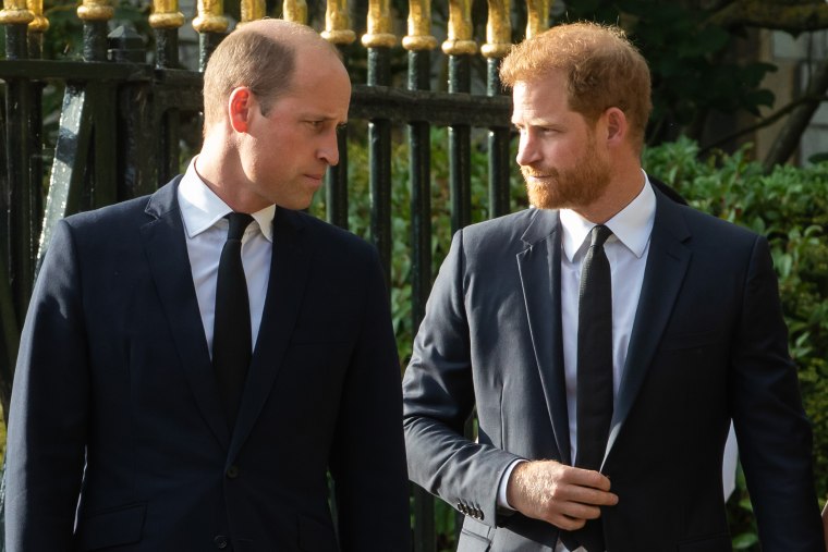 Rào cản nào ngăn anh em William - Harry hàn gắn? Chuyên gia nhận định bất đồng giữa Kate - Meghan chỉ là một phần- Ảnh 1.