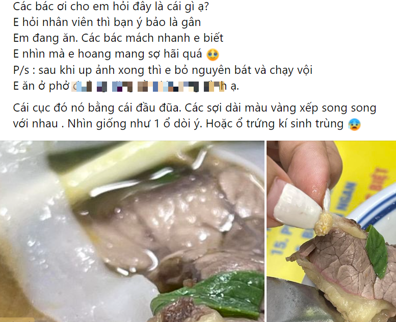 Dân tình hoang mang tranh cãi cục hình tròn nhiều sợi trên miếng thịt của bát phở bò: Gân hay ổ sán?- Ảnh 1.