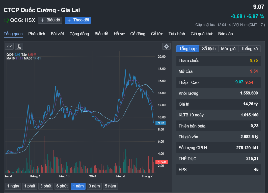 Cổ phiếu Quốc Cường Gia Lai lao dốc- Ảnh 1.