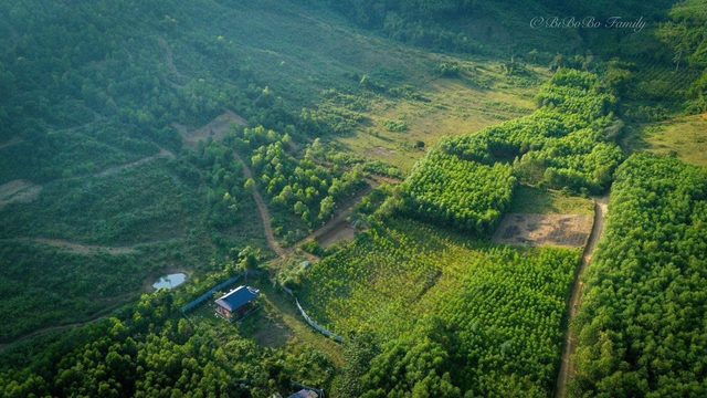 Vợ chồng chốt mua 1500m2 đất rừng qua ảnh vệ tinh, thành quả hiện tại khiến bao người ngưỡng mộ - Ảnh 5.