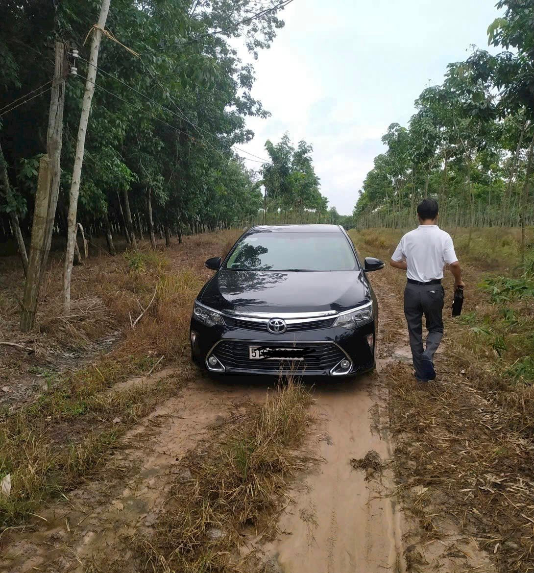 Giới đầu tư “săn” đất nông nghiệp kì vọng giá tăng sau khi Luật có hiệu lực từ 1/8- Ảnh 1.