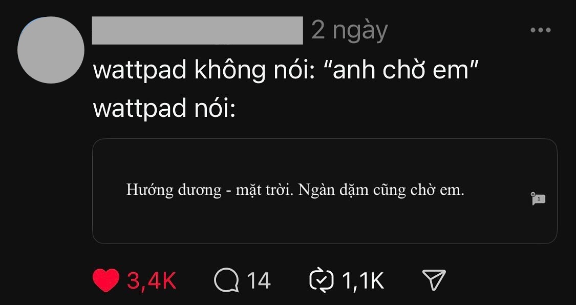 Giải mã trào lưu “Wattpad nói” khiến dân tình thêm yêu tiếng Việt vì quá kỳ diệu- Ảnh 4.