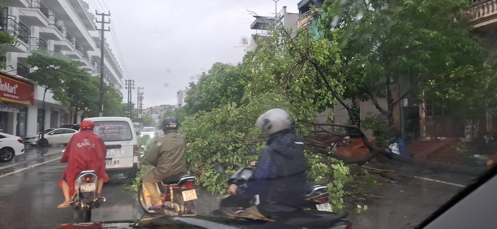 Trực tiếp bão số 2 đổ bộ: Quảng Ninh mưa rất to, cây gãy đổ hàng loạt- Ảnh 9.