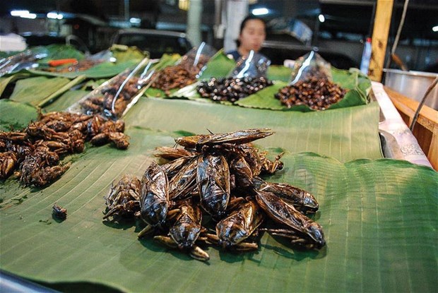 Món bánh cuốn có cả côn trùng của người Việt: Ai không quen nhìn chẳng dám ăn, nghe giá mới bất ngờ- Ảnh 9.