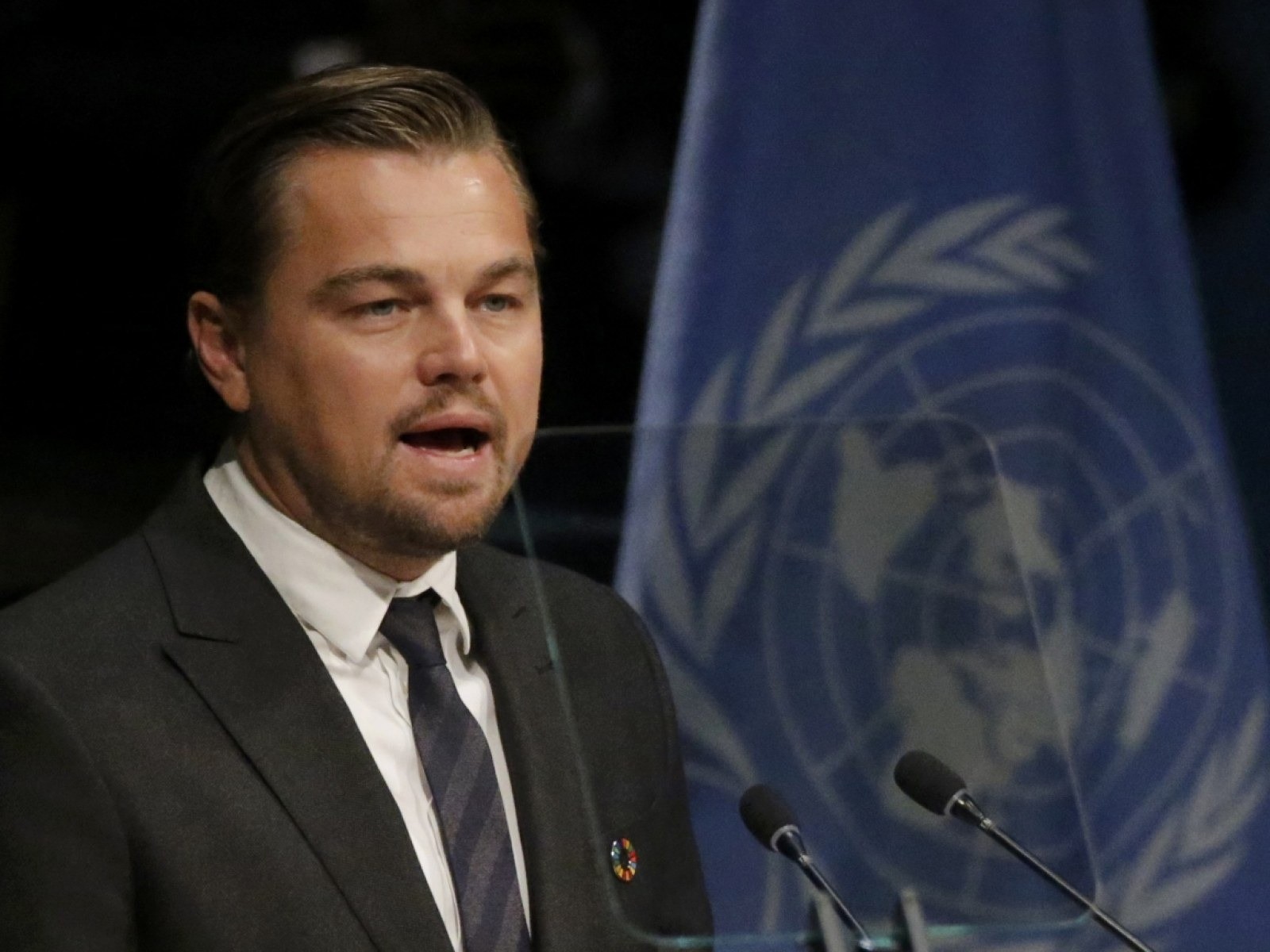 Vận đen của Leonardo DiCaprio- Ảnh 3.