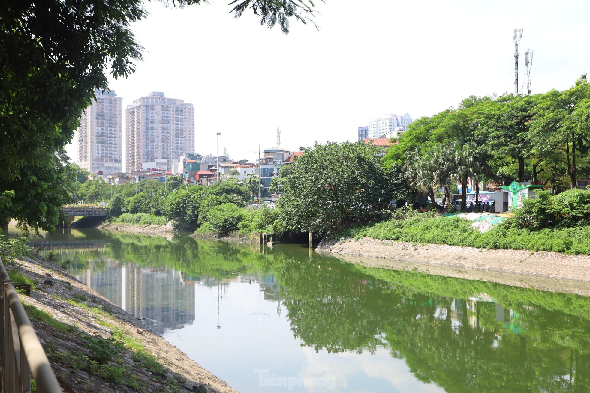 Nước chuyển màu xanh như nước Hồ Gươm, sông Tô Lịch bỗng 'nên thơ, trữ tình'- Ảnh 9.