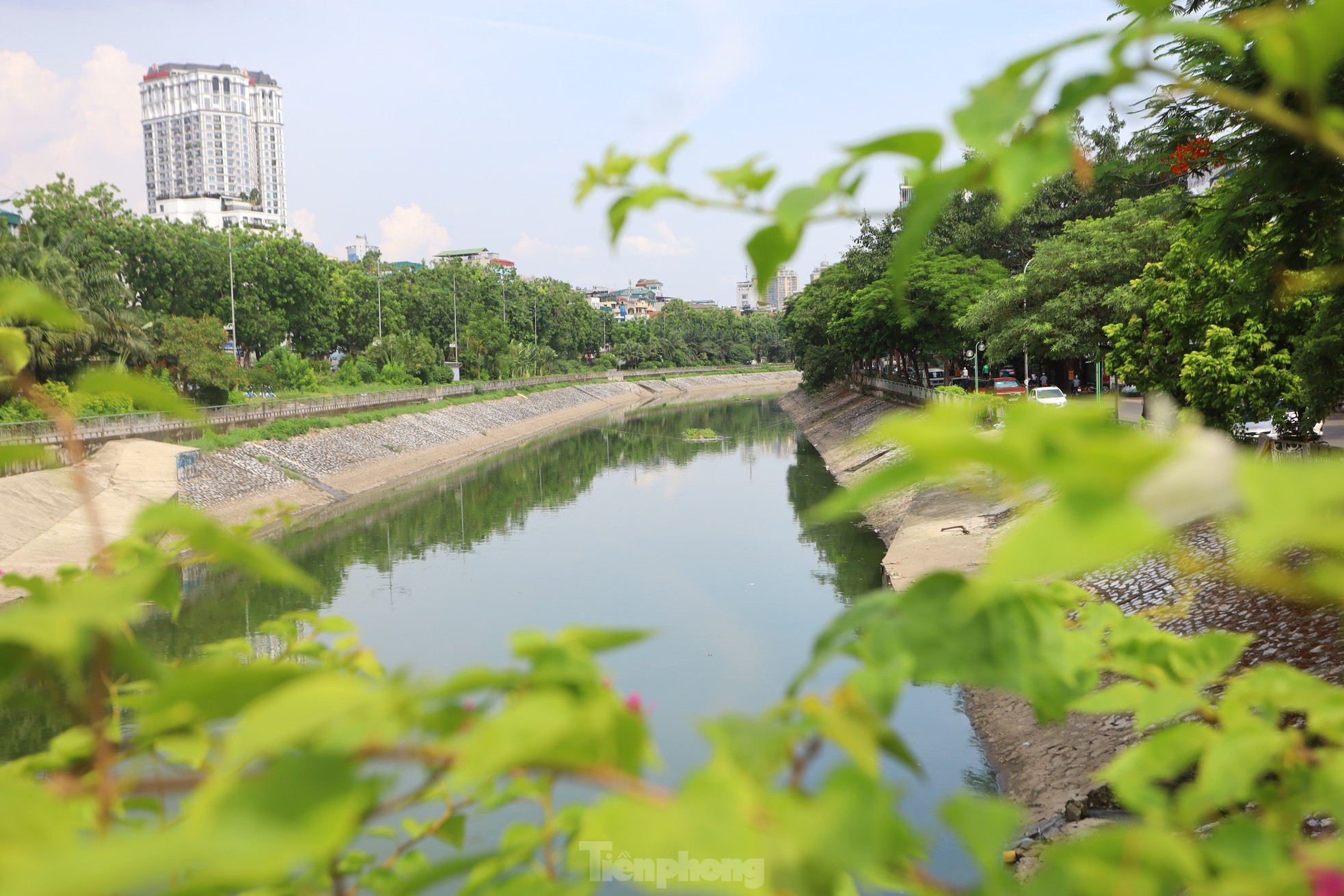 Nước chuyển màu xanh như nước Hồ Gươm, sông Tô Lịch bỗng 'nên thơ, trữ tình'- Ảnh 11.