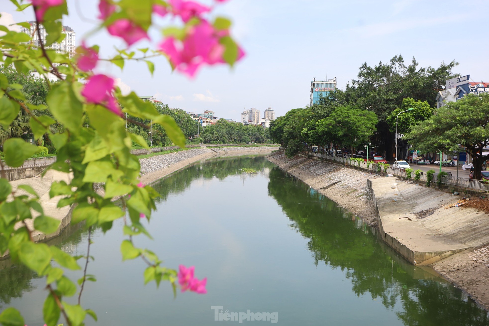 Nước chuyển màu xanh như nước Hồ Gươm, sông Tô Lịch bỗng 'nên thơ, trữ tình'- Ảnh 10.