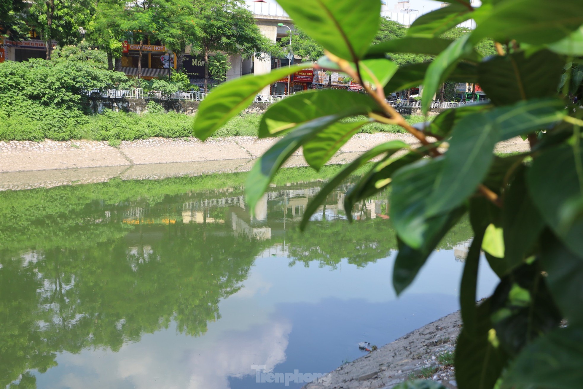 Nước chuyển màu xanh như nước Hồ Gươm, sông Tô Lịch bỗng 'nên thơ, trữ tình'- Ảnh 5.