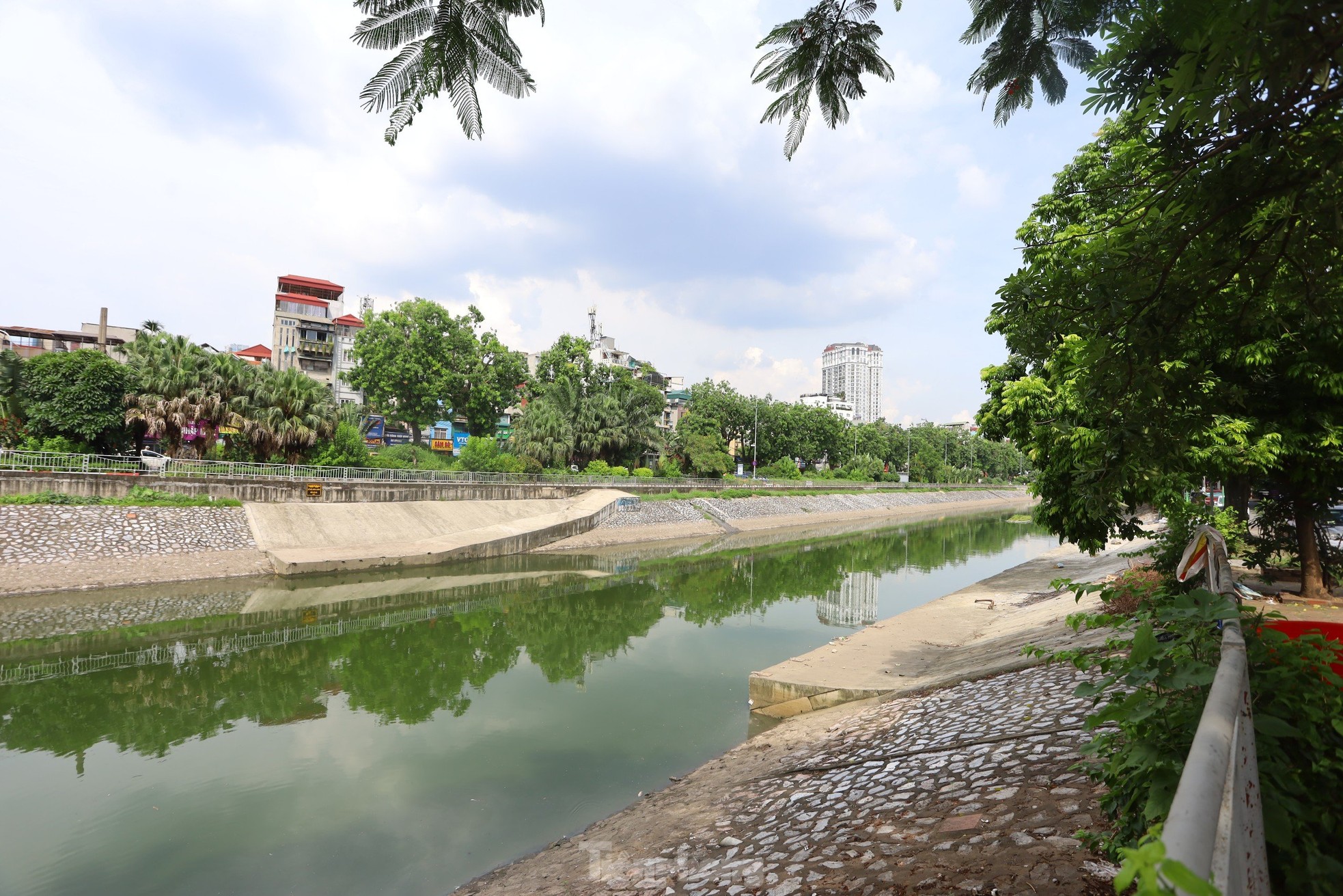 Nước chuyển màu xanh như nước Hồ Gươm, sông Tô Lịch bỗng 'nên thơ, trữ tình'- Ảnh 6.