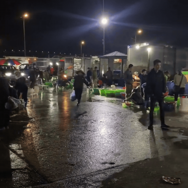 Gh&eacute; thăm chợ hải sản được mệnh danh "rẻ nhất miền Bắc", ai đi du lịch đều muốn đến &iacute;t nhất 1 lần- Ảnh 4.