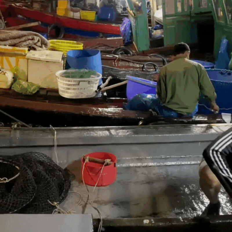 Gh&eacute; thăm chợ hải sản được mệnh danh "rẻ nhất miền Bắc", ai đi du lịch đều muốn đến &iacute;t nhất 1 lần- Ảnh 5.