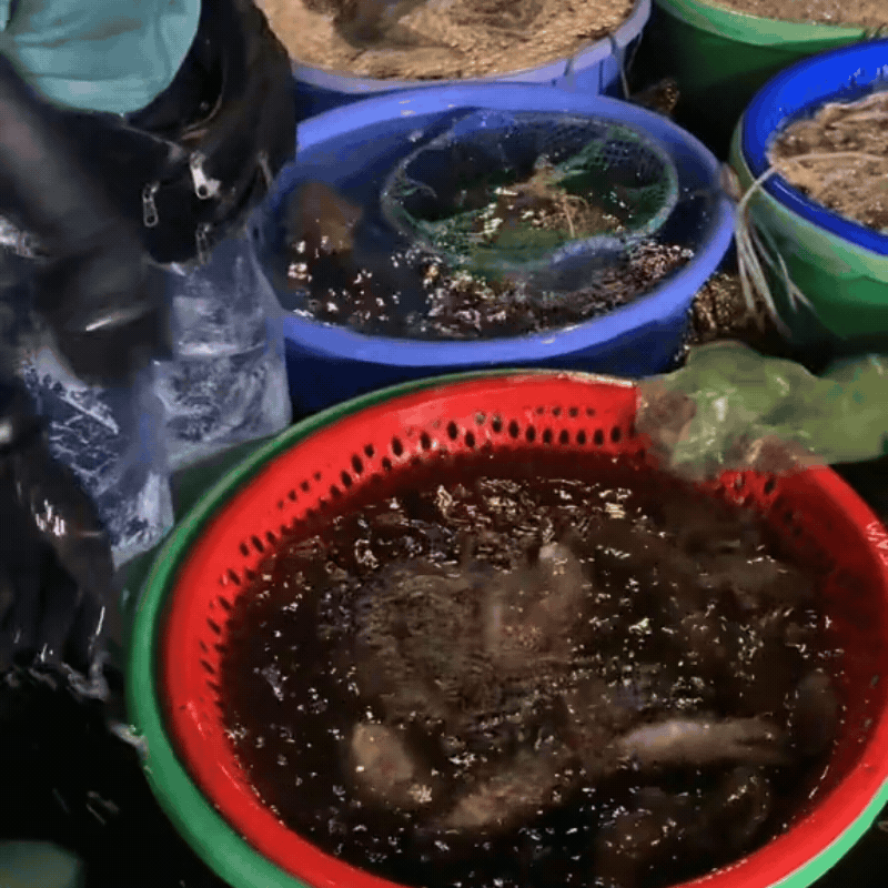 Gh&eacute; thăm chợ hải sản được mệnh danh "rẻ nhất miền Bắc", ai đi du lịch đều muốn đến &iacute;t nhất 1 lần- Ảnh 9.