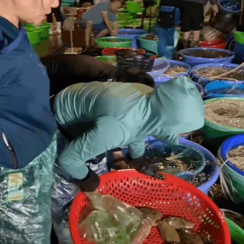 Gh&eacute; thăm chợ hải sản được mệnh danh "rẻ nhất miền Bắc", ai đi du lịch đều muốn đến &iacute;t nhất 1 lần- Ảnh 6.