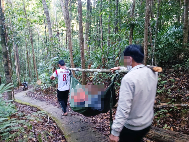 Cây rừng đổ, nữ du khách chết khi tham quan thác K50 - Ảnh 1.