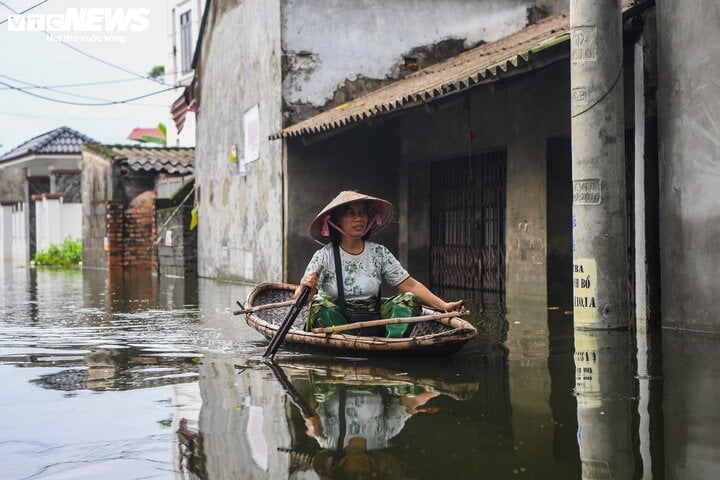 'Rốn lũ' Hà Nội: Người chèo thuyền tìm vịt lạc, người xót xa nhìn gà chết cả đàn- Ảnh 16.