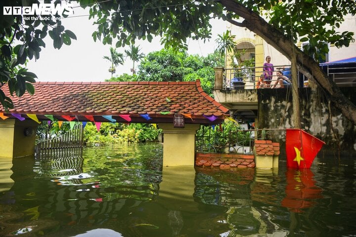 'Rốn lũ' Hà Nội: Người chèo thuyền tìm vịt lạc, người xót xa nhìn gà chết cả đàn- Ảnh 13.