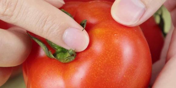 Tại sao cà chua ngày nay cứng và có thể bảo quản vài tuần mà không hỏng?: Đây là câu trả lời cho bạn - Ảnh 5.