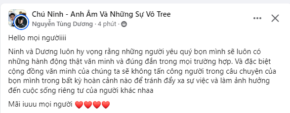 Nguyễn Tùng Dương mong fan không tấn công bạn gái cũ của Ninh Anh Bùi - Ảnh 2.