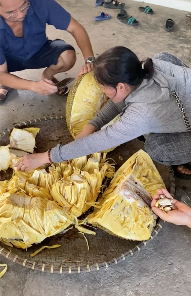 Chủ nhà bổ quả mít 54,5kg ở Hải Dương, múi mít bên trong gây ngỡ ngàng - Ảnh 3.
