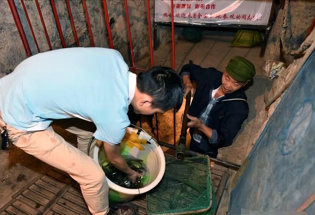 Đào giếng trong sân nhà, ông lão phát hiện dòng nước lạ có màu xanh ngắt: Chuyên gia khẳng định là kho báu, gia chủ ngồi không cũng kiếm được vài tỷ - Ảnh 2.