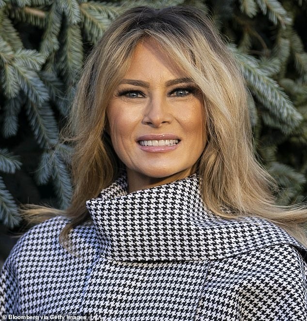 Melania Trump gần như không già đi trong hơn 20 năm- Ảnh 10.