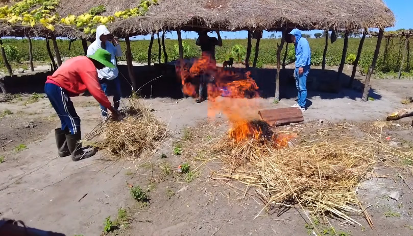 Món bún giả cầy Việt Nam xuất hiện ở châu Phi, người dân ăn liền ba bát rồi nói một câu bất ngờ- Ảnh 2.