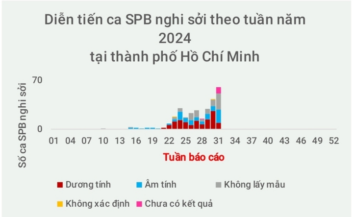 TP.HCM ghi nhận 3 trẻ tử vong liên quan bệnh sởi- Ảnh 1.