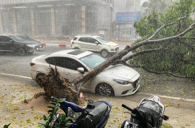 Chủ tịch Hà Nội ký công điện "hoả tốc" về phòng chống thiên tai, ngập lụt, cây xanh gãy, đổ- Ảnh 1.