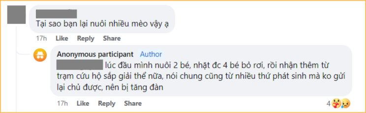 35 tuổi, lương 12 triệu không đủ sống còn nuôi 40 con mèo, người phụ nữ khiến CĐM bức xúc: “Thương động vật nhưng cũng phải thương bố mẹ mình nữa chứ!”- Ảnh 2.