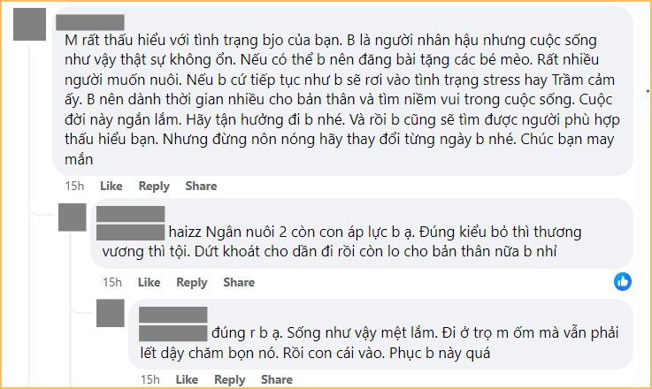 35 tuổi, lương 12 triệu không đủ sống còn nuôi 40 con mèo, người phụ nữ khiến CĐM bức xúc: “Thương động vật nhưng cũng phải thương bố mẹ mình nữa chứ!”- Ảnh 7.