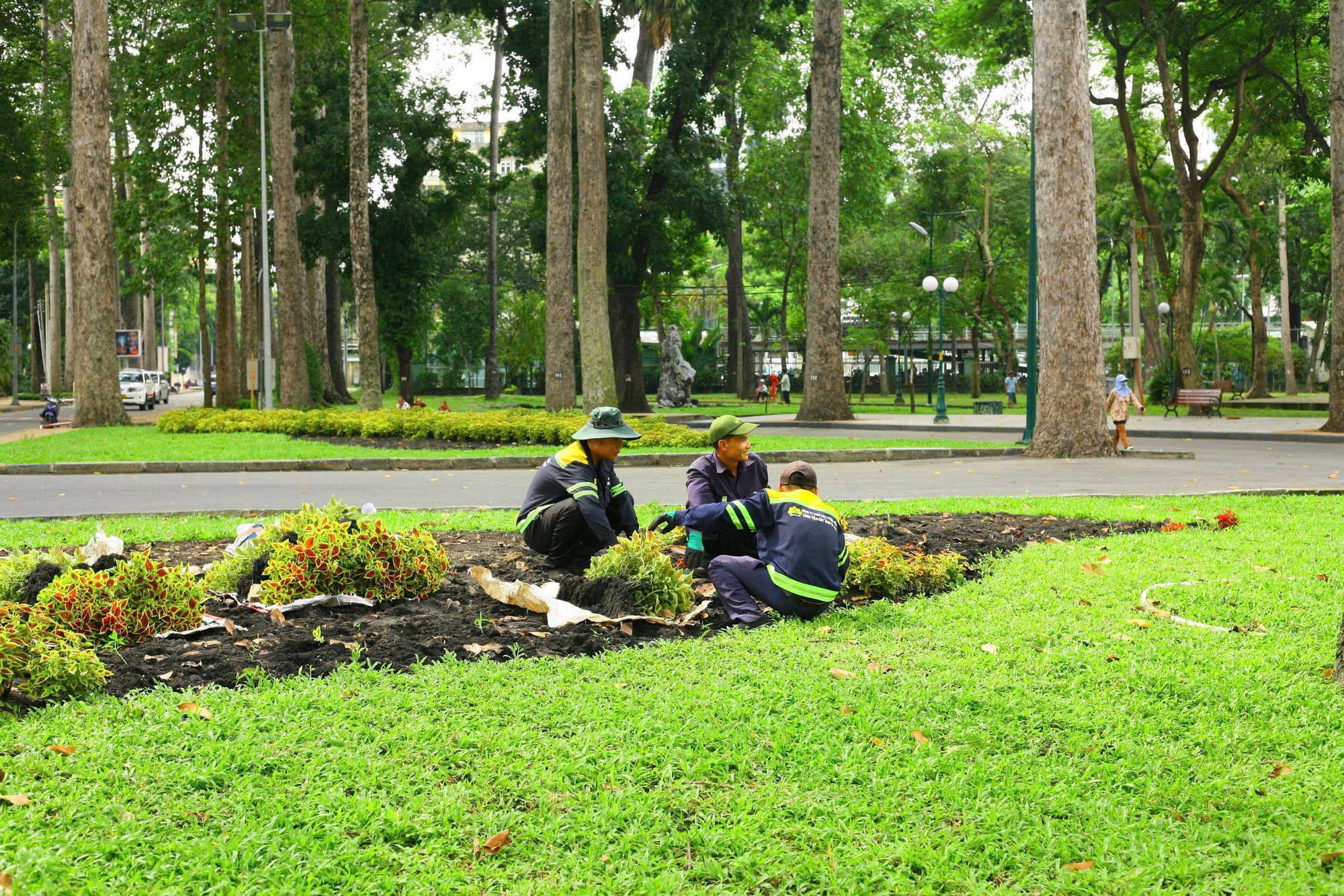 Hình ảnh Công viên Tao Đàn sau vụ gãy cây làm 5 người thương vong- Ảnh 15.