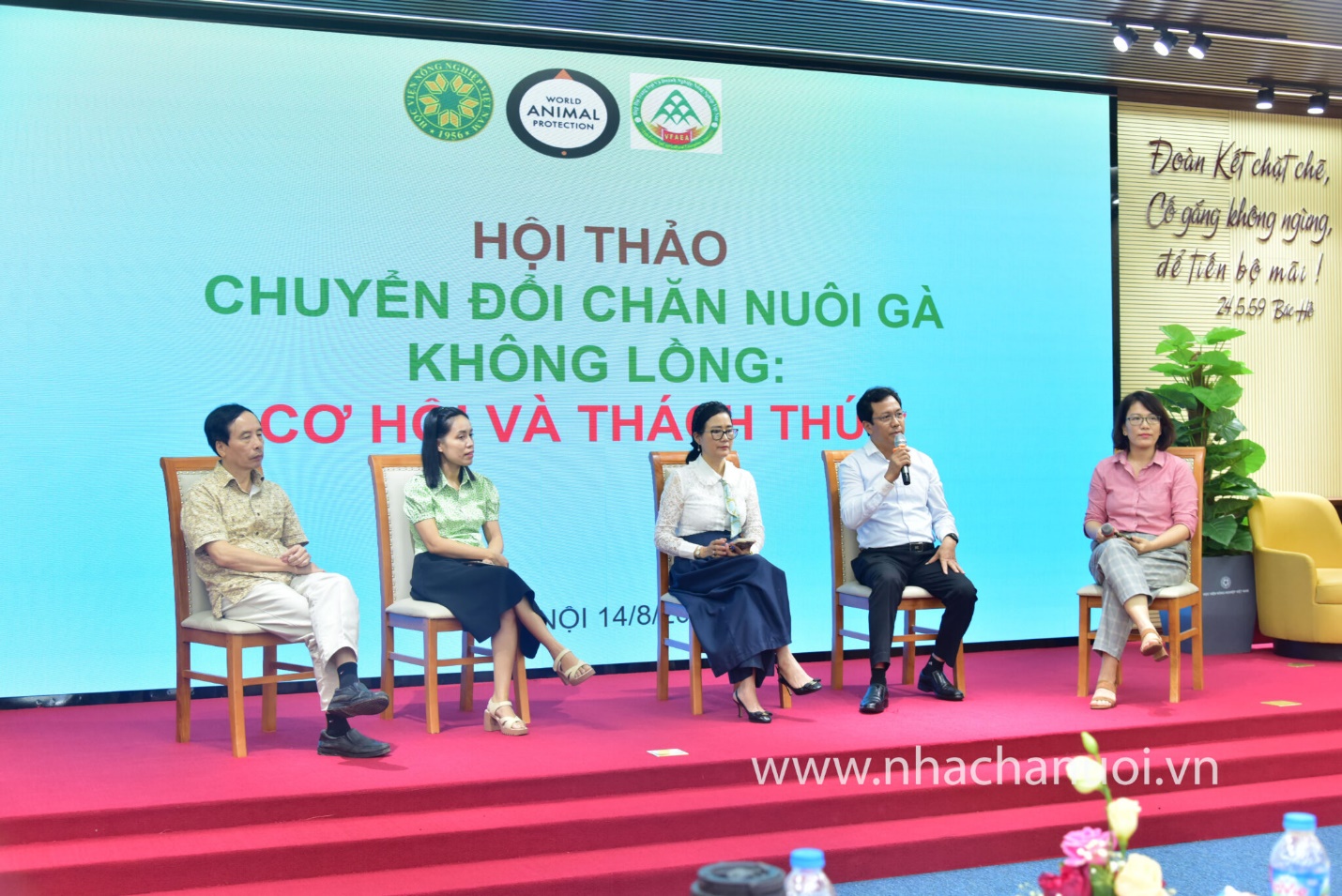 Ra mắt Ban Đối tác Chăn nuôi không lồng nhốt (Cage Free) tại Việt Nam- Ảnh 6.