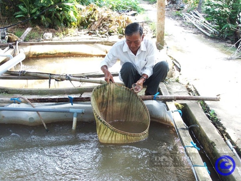 Từng "chạy ăn từng bữa", nhiều nông dân đổi đời thành tỷ phú nhờ nuôi loài sắp tuyệt chủng- Ảnh 1.