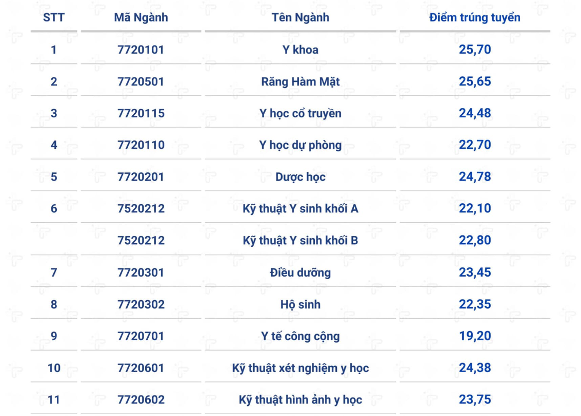 Điểm chuẩn các trường Y Dược 2024 đồng loạt tăng 1-3 điểm- Ảnh 4.