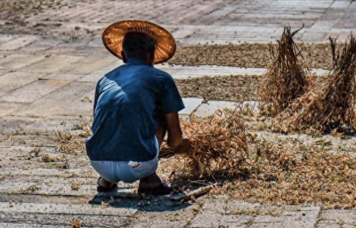 Bị bại não, mẹ ruột bỏ đi, tôi được bố và mẹ kế một tay nuôi nấng - 20 năm sau, tôi sống giàu sang, xây biệt thự báo hiếu bố mẹ- Ảnh 1.