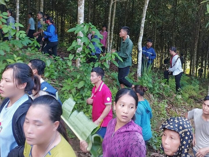 Hơn 100 người tìm kiếm bé trai nghi đi lạc trong rừng ở Yên Bái- Ảnh 1.