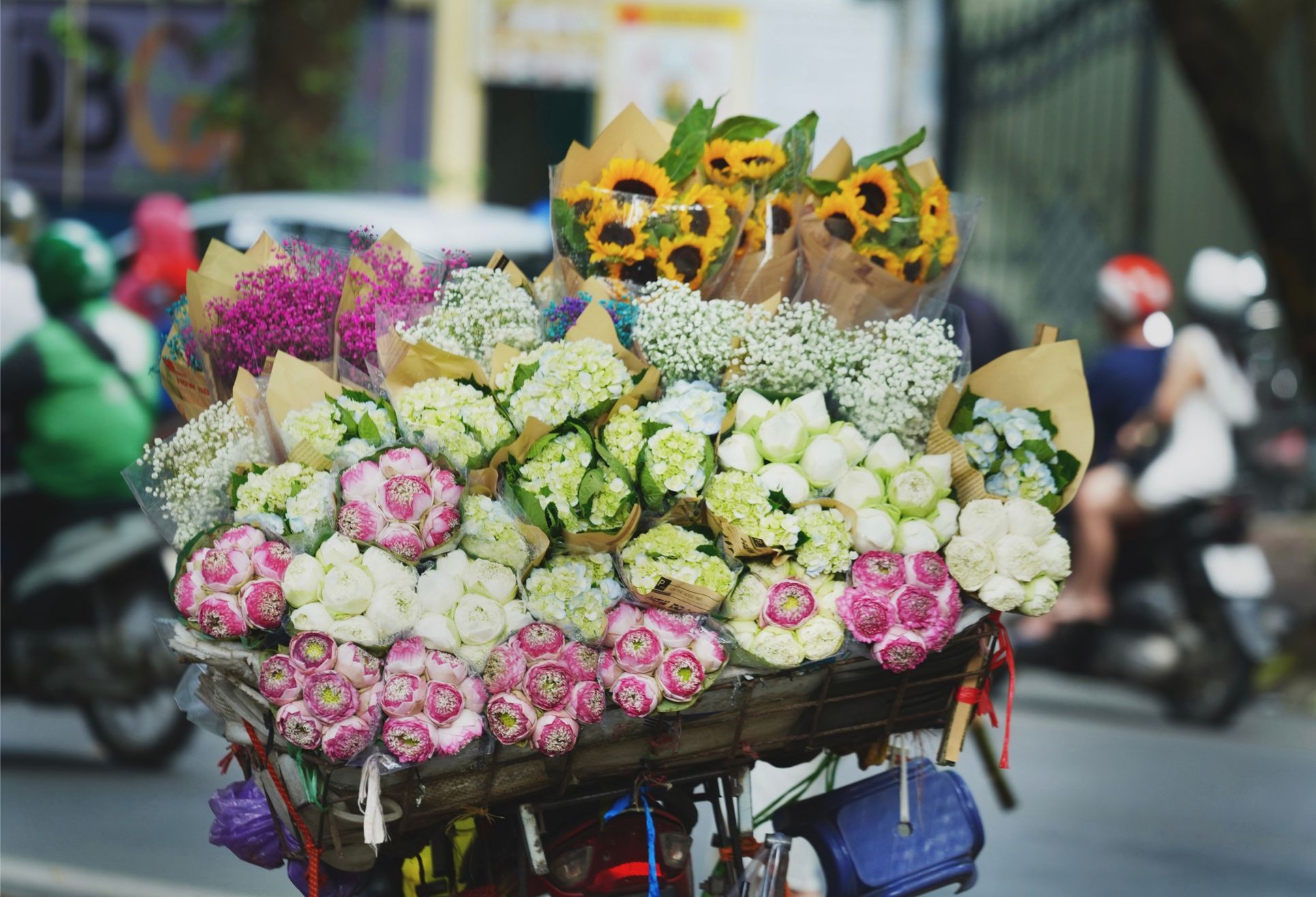 Mùa thu lại "mang giấc mơ quay về" rồi, sẵn sàng một tâm hồn đẹp để tận hưởng thôi!- Ảnh 9.