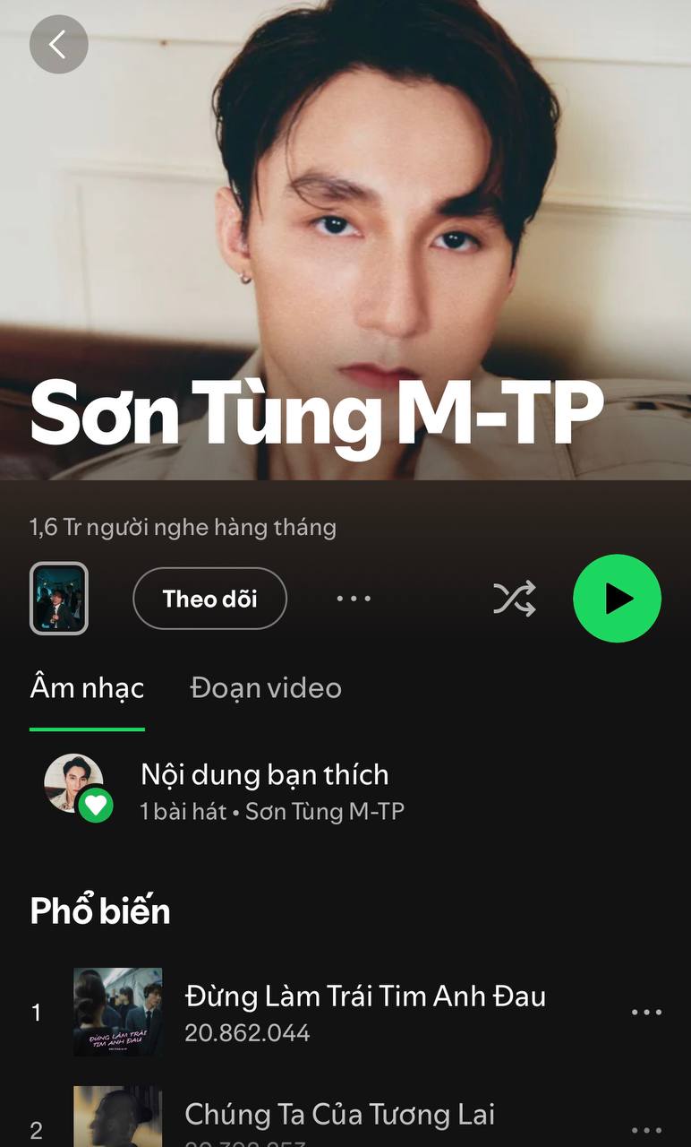 Top nghệ sĩ Việt nổi tiếng nhất Spotify: Số 1 không bàn cãi, ai mới là nhân tố “đáng gờm" nhất?- Ảnh 2.