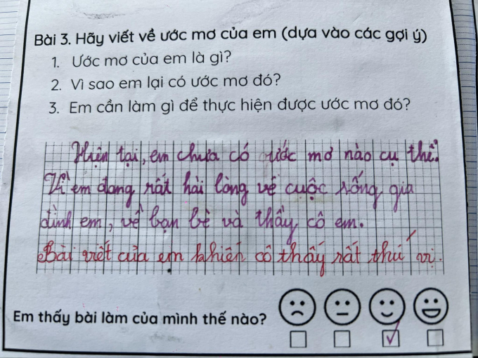 Học sinh tiểu học viết 2 câu về ước mơ khiến cô giáo phải phê "rất thú vị", cư dân mạng ào ào vào "xin vía"- Ảnh 1.