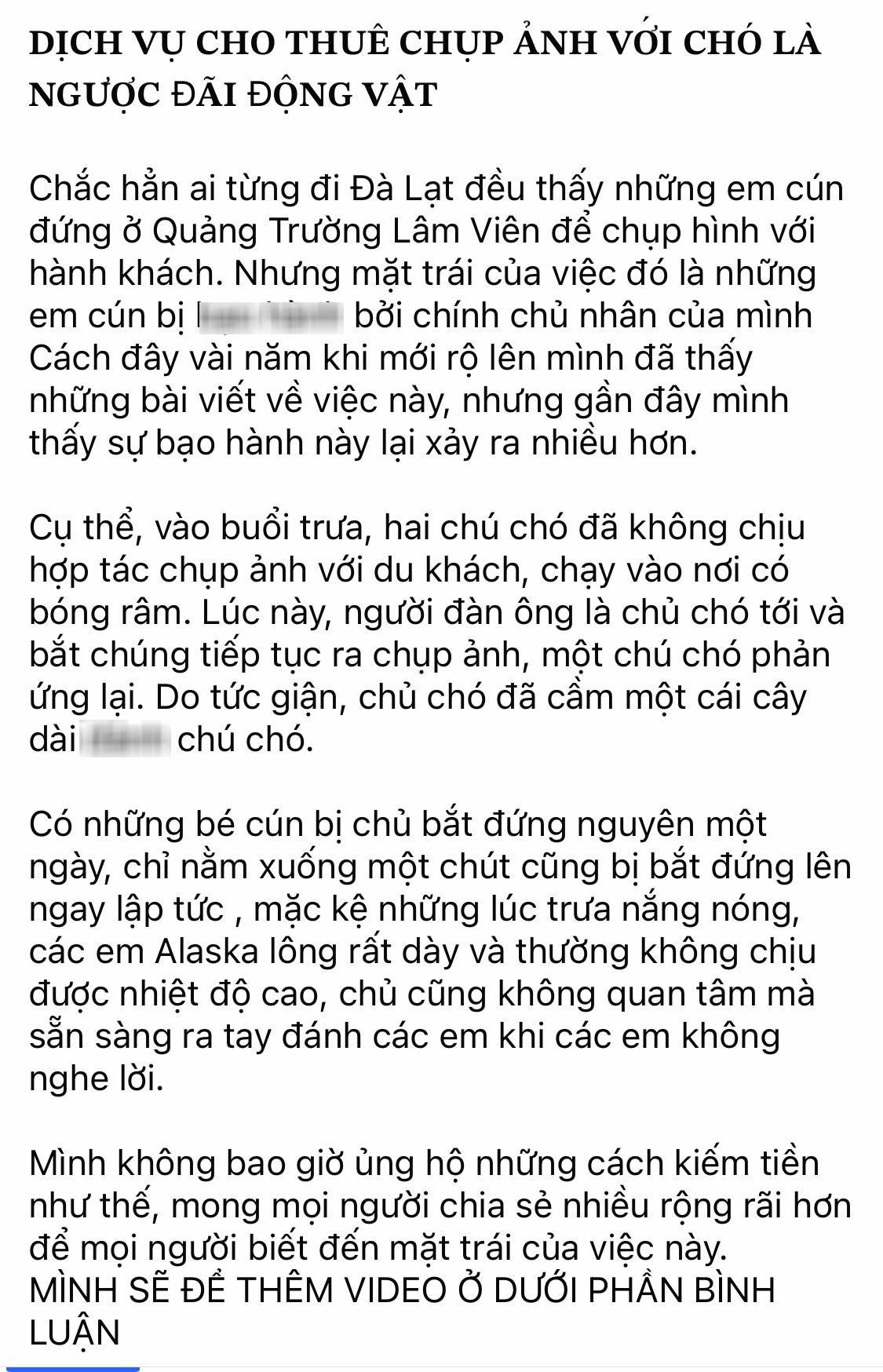 Vụ chó dịch vụ chụp ảnh ở Đà Lạt bị 