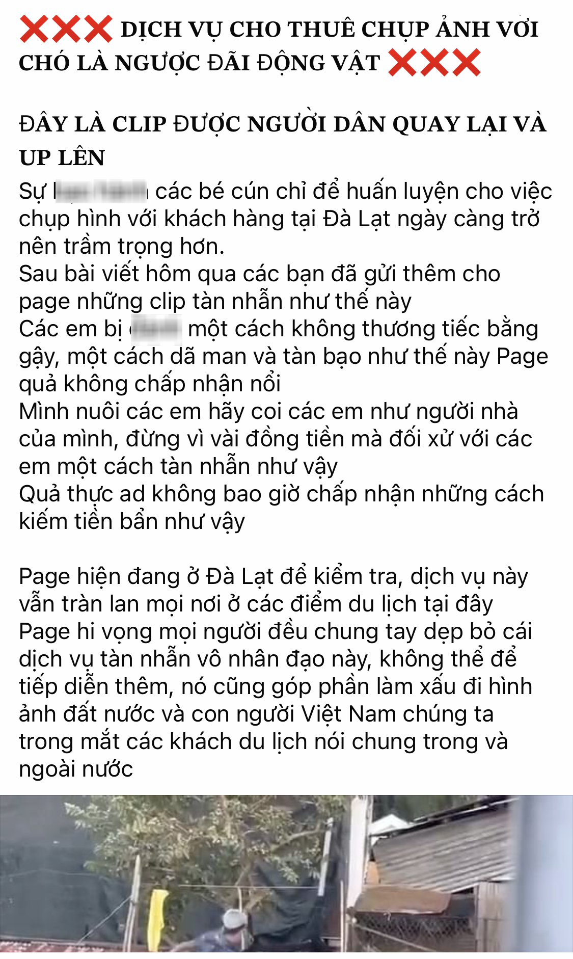 Vụ chó dịch vụ chụp ảnh ở Đà Lạt bị 