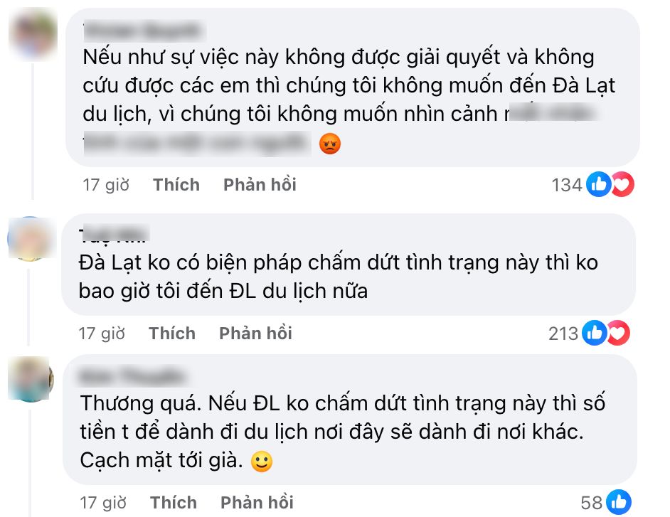 Đà Lạt không có lỗi!- Ảnh 3.