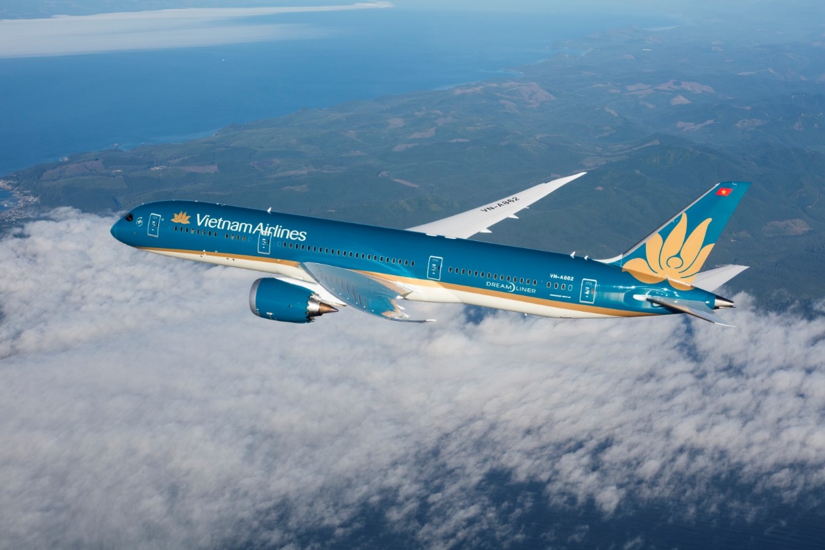 Hành trình phục hồi 18.000 cây, phủ lấp 27 hecta rừng của Vietnam Airlines- Ảnh 4.