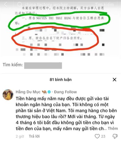 Lộ thời gian Hằng Du Mục trở về Việt Nam, gặp Quang Linh Vlogs để livestream- Ảnh 4.