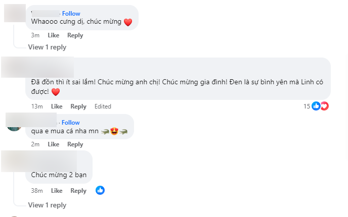 Phản ứng của netizen trước thông tin Hoàng Thùy Linh sinh con, tất cả chỉ nói đúng câu này- Ảnh 3.