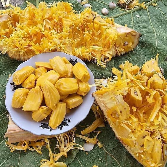 Li&ecirc;n tục xuất hiện nhiều quả m&iacute;t "khủng" ở Việt Nam nhưng bạn c&oacute; biết: M&iacute;t cực tốt lại "cực độc" với 5 nh&oacute;m người sau!- Ảnh 1.