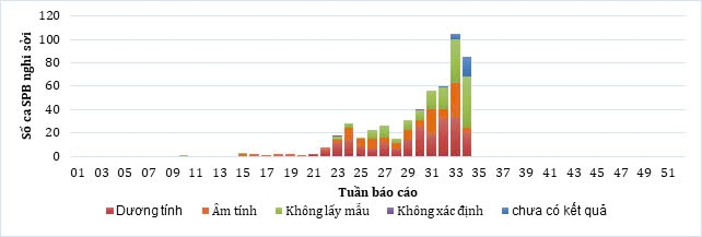 Vì sao TP.HCM chính thức công bố dịch sởi quy mô toàn thành phố?- Ảnh 2.